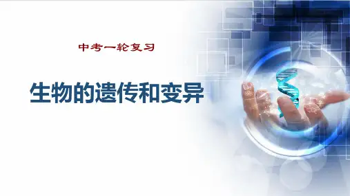 人教版初中生物中考一轮复习-生物的遗传和变异课件(共36张PPT)