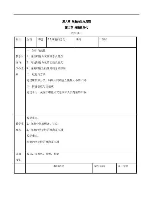 2019-2020学年高中生物人教版(2019)必修一教案：6.2细胞的分化 Word版含答案
