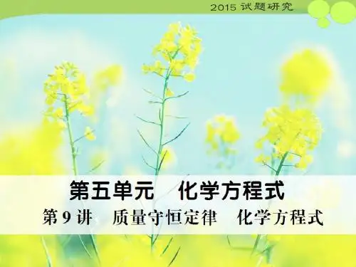 第9讲质量守恒定律化学方程式共23张PPT1