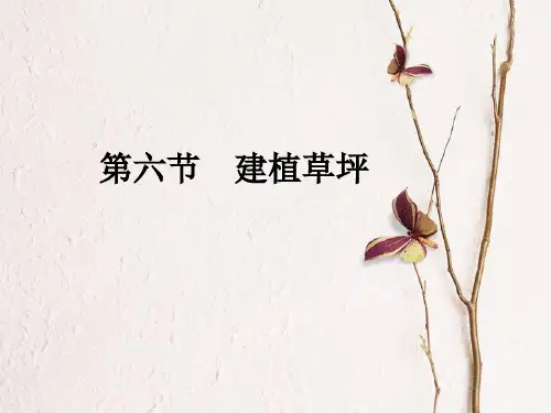 草坪的建植方法