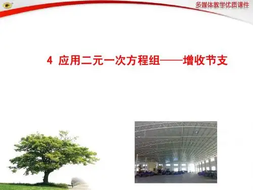 4 应用二元一次方程组——增收节支