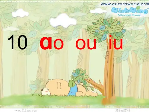 aoouiuPPT课件.ppt