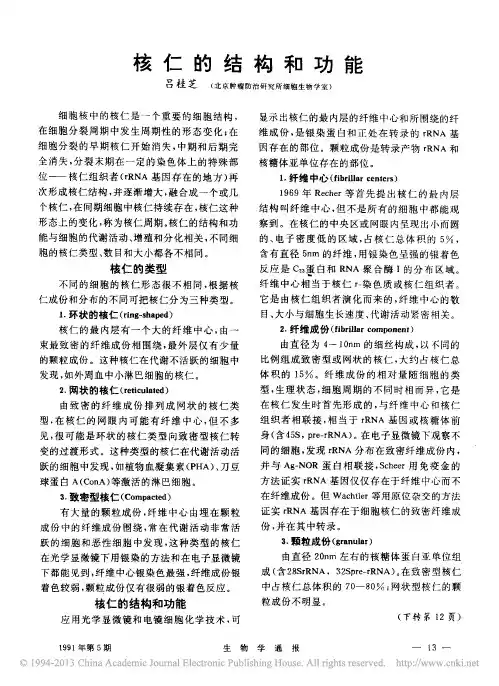 核仁的结构和功能