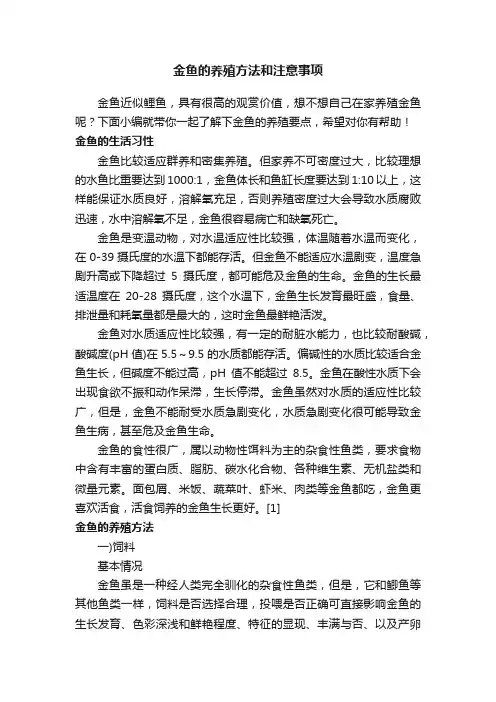 金鱼的养殖方法和注意事项