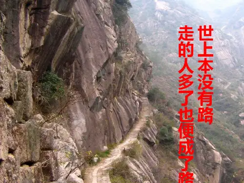 交通运输方式和布局及对地理环境的影响