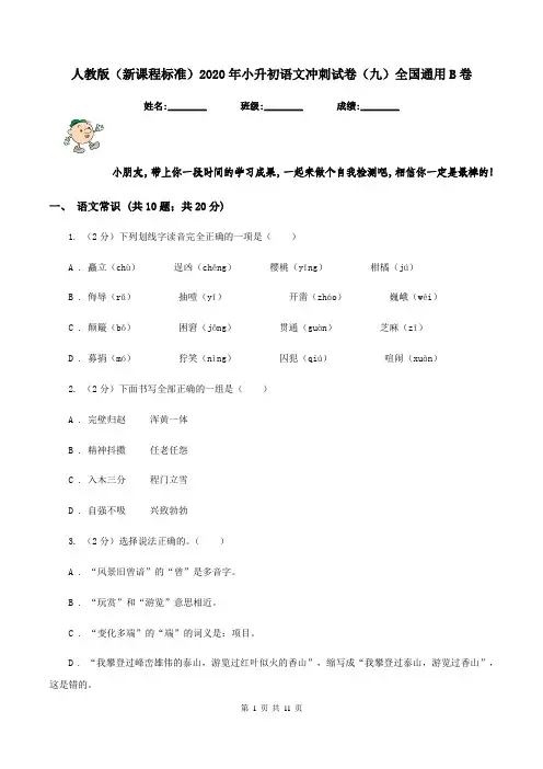 人教版(新课程标准)2020年小升初语文冲刺试卷(九)全国通用B卷
