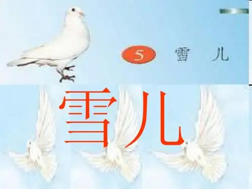 5雪儿