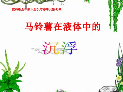 人教版五年级科学下《一 沉和浮 马铃薯在液体中的沉浮》PPT课件_1