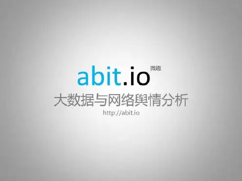 大数据与网络舆情分析