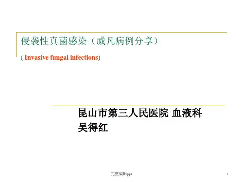 伏立康唑治疗真菌感染PPT专业课件