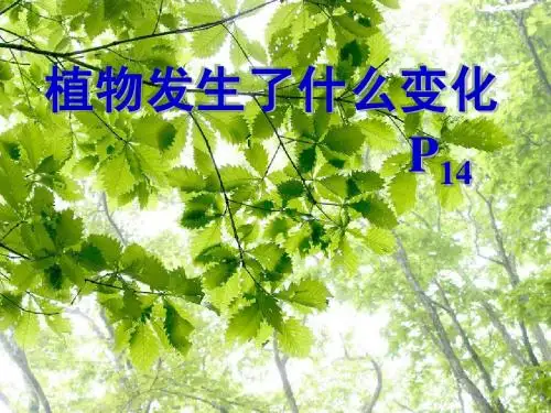 1-6植物发生了什么变化