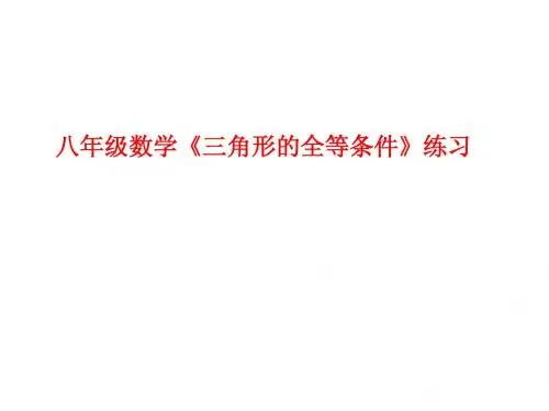 8.3 三角形的全等条件 练习课件 (青岛版八年级下册)