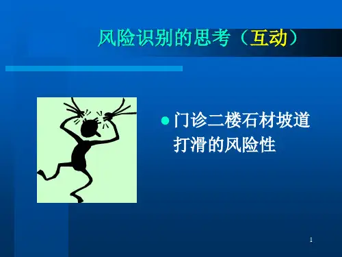 医院风险管理.ppt