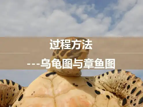 过程方法-乌龟图与章鱼图
