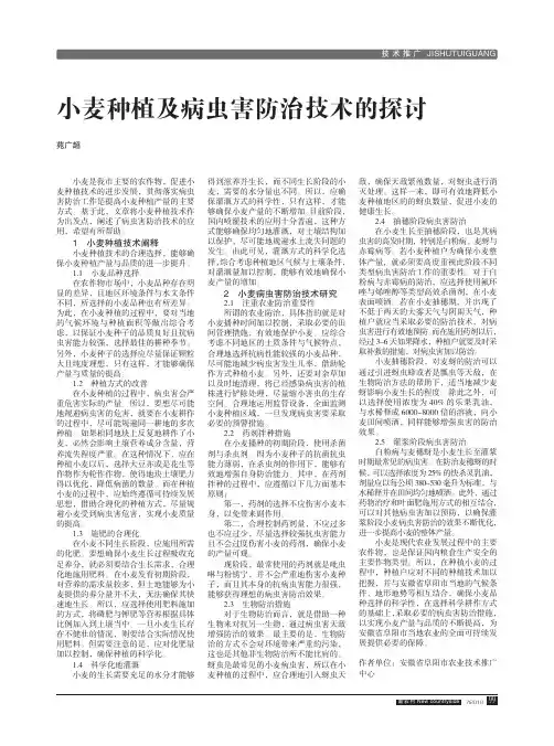 小麦种植及病虫害防治技术的探讨