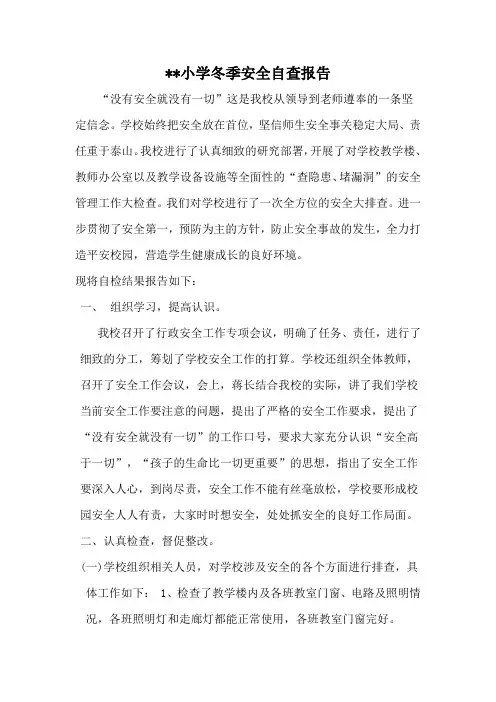 小学冬季安全自查报告