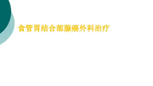 食管胃结合部肿瘤