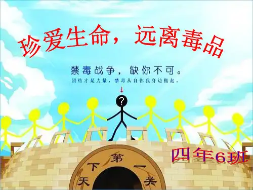 《禁毒主题班会》PPT课件