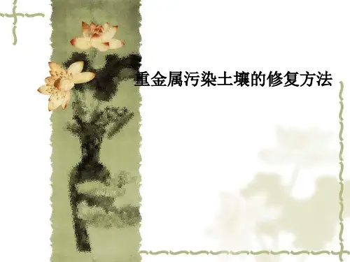 重金属污染土壤的修复方法PPT课件