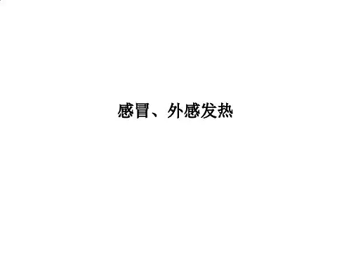 感冒、外感发热
