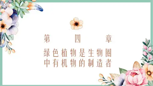 人教七上3.4 绿色植物是生物圈中有机物的制造者