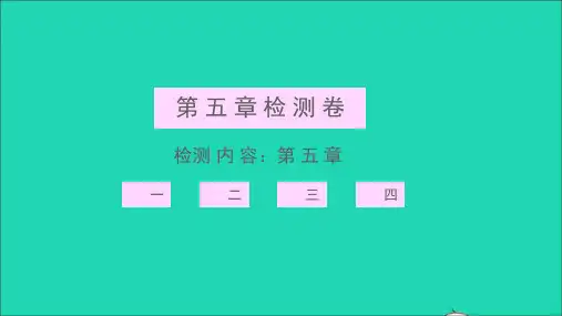 八年级物理上册第五章透镜及其应用检测习题课件新版新人教版