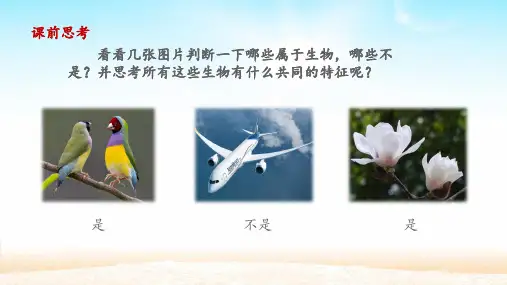 人教七上 1.1.2 调查周边环境中的生物 课件