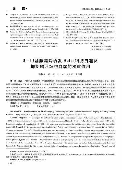 3-甲基腺嘌呤诱发HeLa细胞自噬及抑制辐照细胞自噬的双重作用