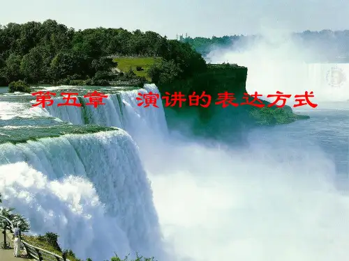 《演讲与口才》教案:第五章 表达方式