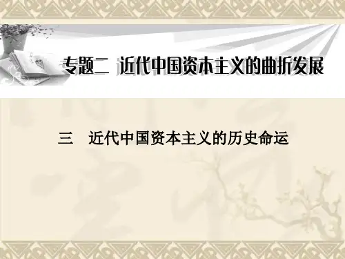 -《金版学案》高中历史人民版必修2全册同步教学课件 专题2 (3)
