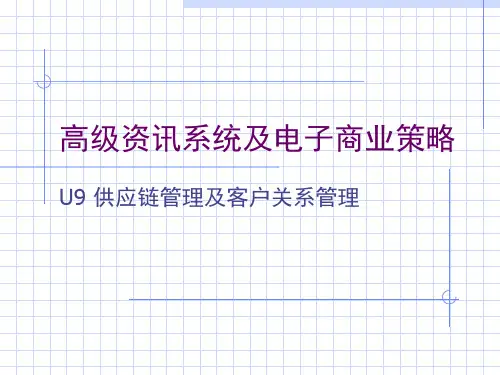 高级资讯系统及电子商业策略