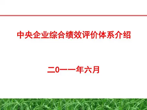 中央企业综合绩效评价体系