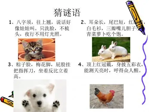 小学四年级作文——我喜欢的小动物