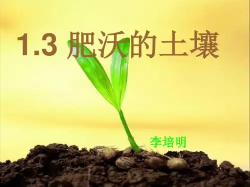 苏教版三年级科学下册-1.3肥沃的土壤