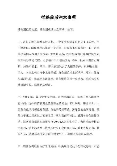 插秧前后注意事项