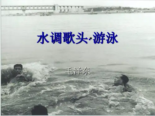 水调歌头游泳PPT课件(上课直接用)