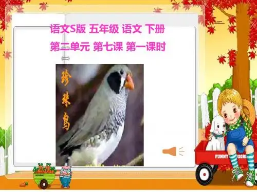 最新语文S版小学语文五年级下册《珍珠鸟》第一课时公开课课件