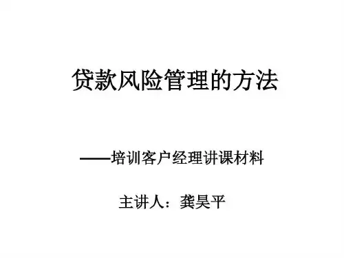 贷款风险管理的方法共30页文档