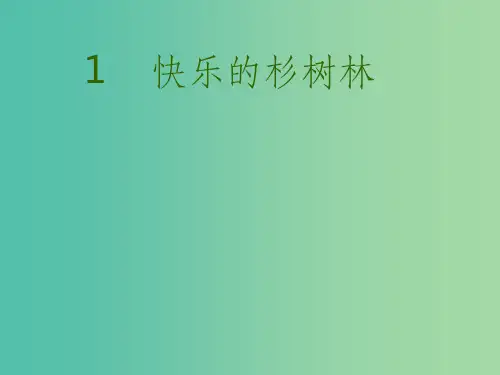五年级语文上册《快乐的杉树林》课件2 沪教版