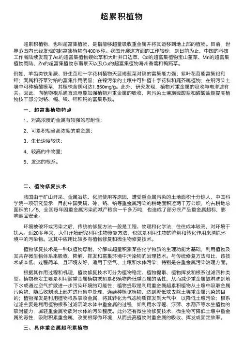 超累积植物——精选推荐