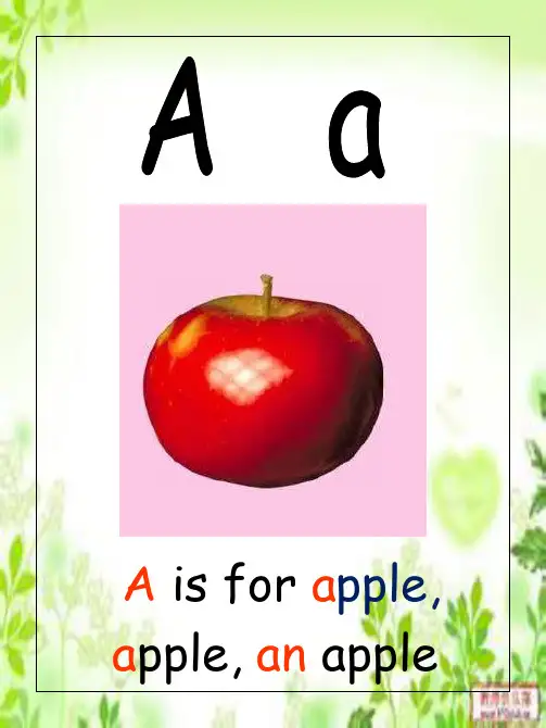 26字母代表单词