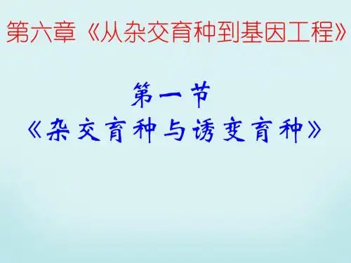 高中生物(人教版)必修二优选课件 第6章-第1节 杂交育种与诱变育种