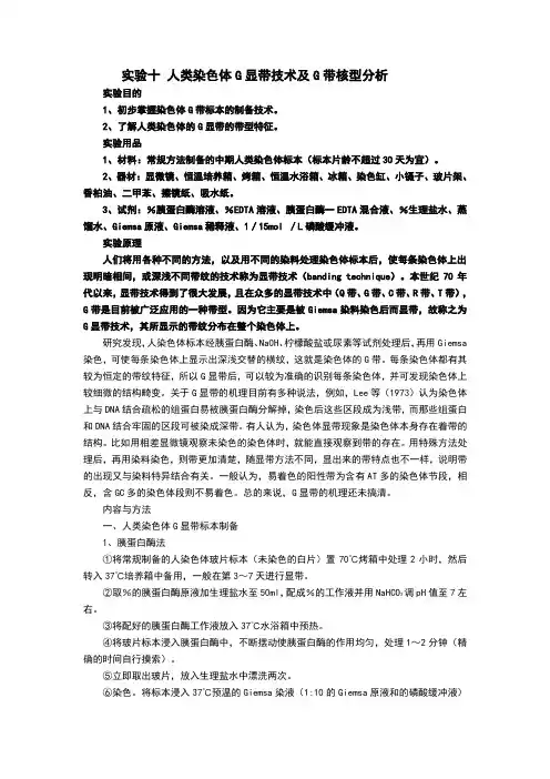 实验十人类染色体g显带技术及g带核型分析