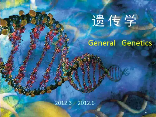 遗传学-2遗传的细胞基础