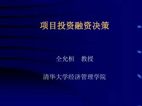 项目投资融资决策清华-PPT精选文档