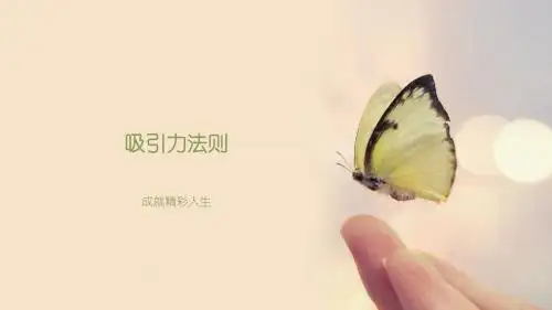 吸引力法则