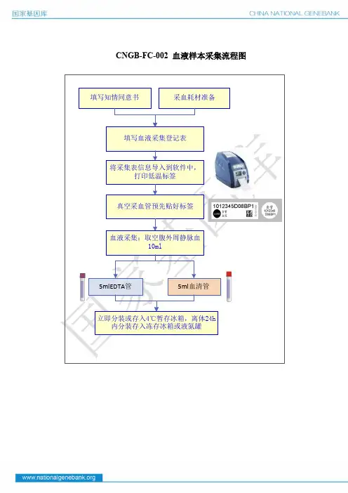 CNGB-FC-002 血液样本采集流程图