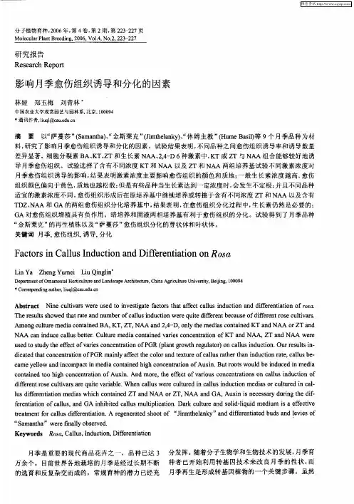 影响月季愈伤组织诱导和分化的因素