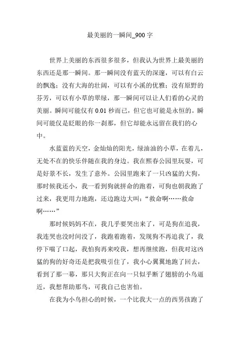 最美丽的一瞬间_900字