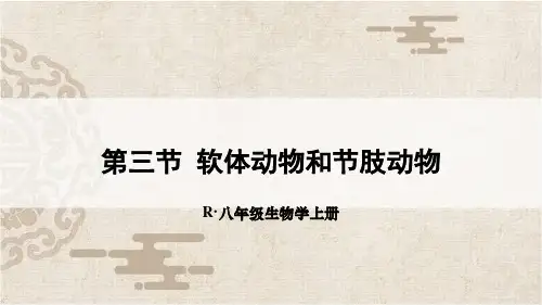 八年级生物上册第五单元第一章第三节 软体动物和节肢动物